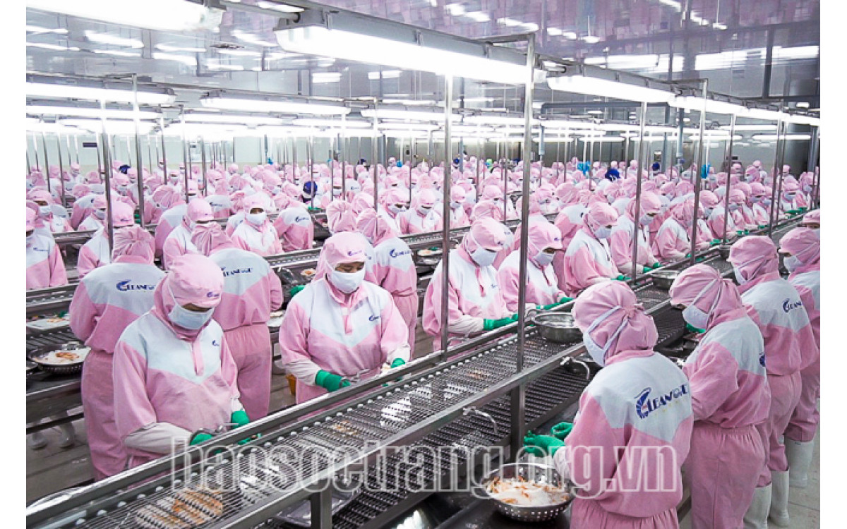 Sẽ thiếu t&ocirc;m nguy&ecirc;n liệu?